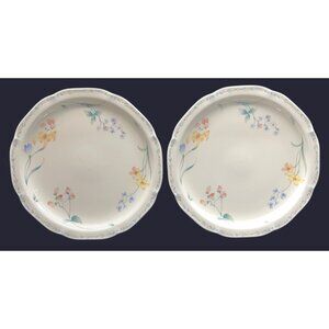 2 Noritake Dining Kitchen Gala Cuisine American Flowers Dinner Plates 7912 Japan